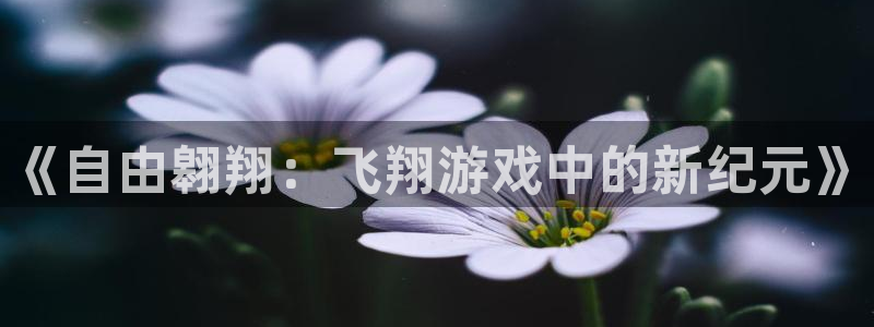 一竞技官网：《自由翱翔：飞翔游戏中的新纪元》