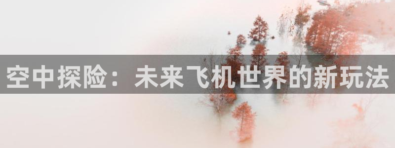 一竞技游戏登录入口：空中探险：未来飞机世界的新玩法