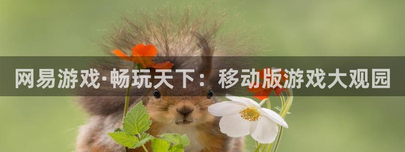 一竞技one卡安不安全