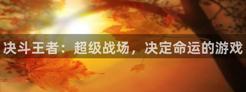 一竞技下载：决斗王者：超级战场，决定命运的游戏