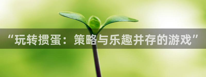 一竞技官网地址：“玩转掼蛋：策略与乐趣并存的游戏”