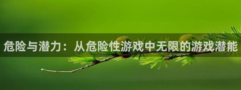 一竞技官方网站入口下载