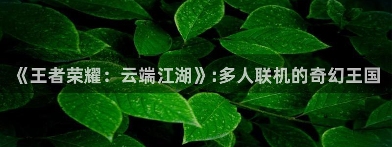 一竞技官网注册流程：《王者荣耀：云端江湖》:多人联机的奇幻王
