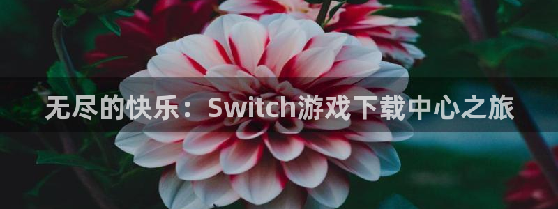 一竞技官网登录